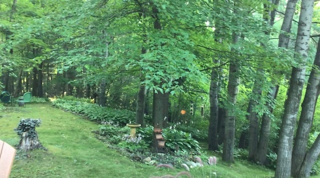 view of yard with a view of trees