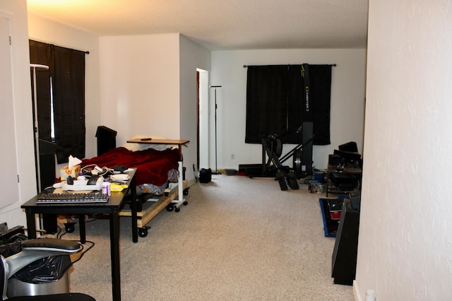 bedroom featuring carpet