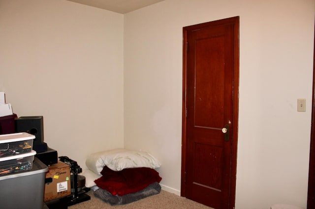 misc room with carpet floors