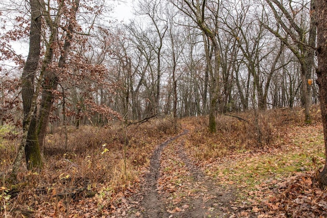 view of local wilderness