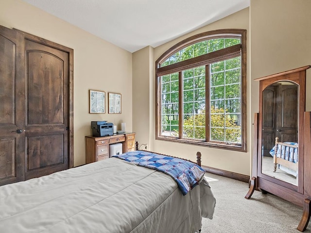4350 Golfview Dr, Jordan, MN 55352 - bedroom with carpet floors and baseboards