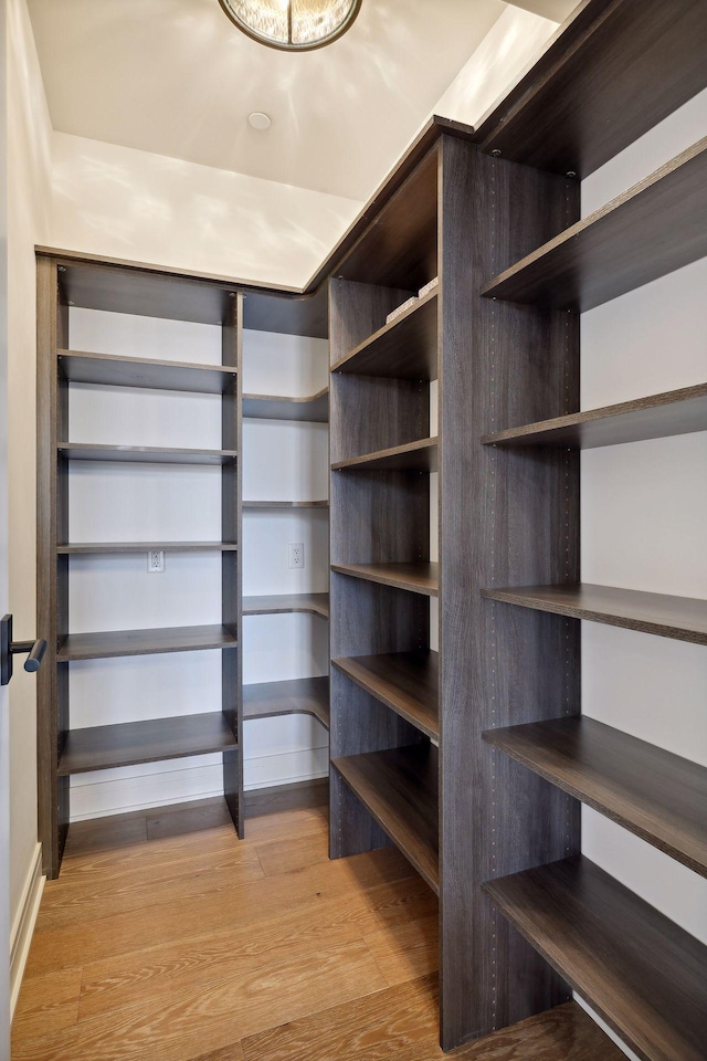 spacious closet featuring light wood-type flooring