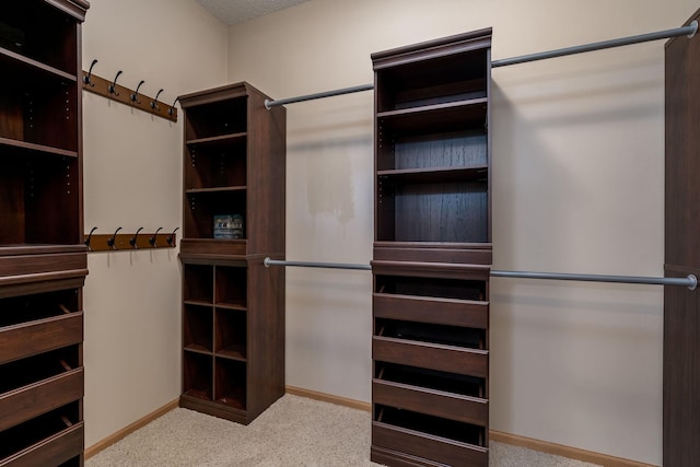 spacious closet featuring carpet