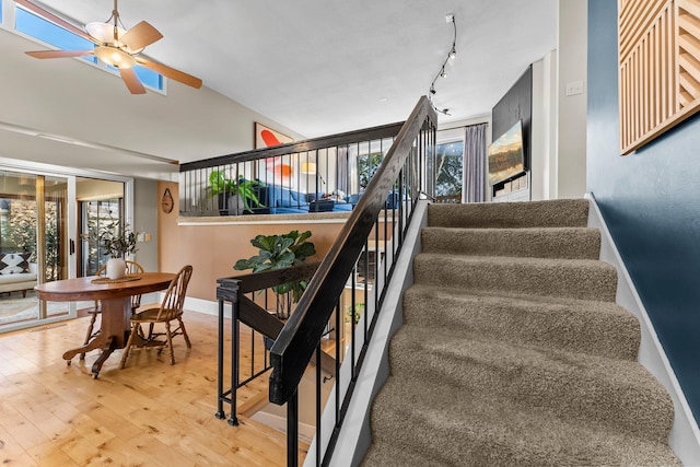 stairs featuring baseboards, a ceiling fan, hardwood / wood-style floors, and rail lighting