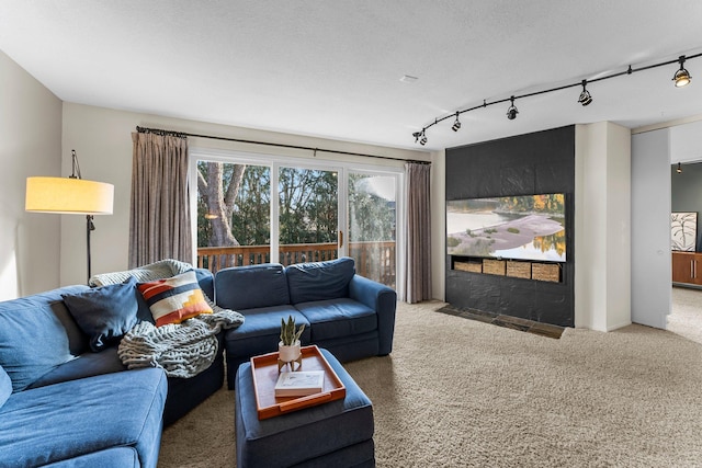 living room with rail lighting, carpet floors, and a textured ceiling