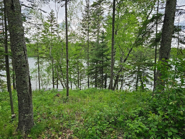 view of landscape with a water view and a view of trees