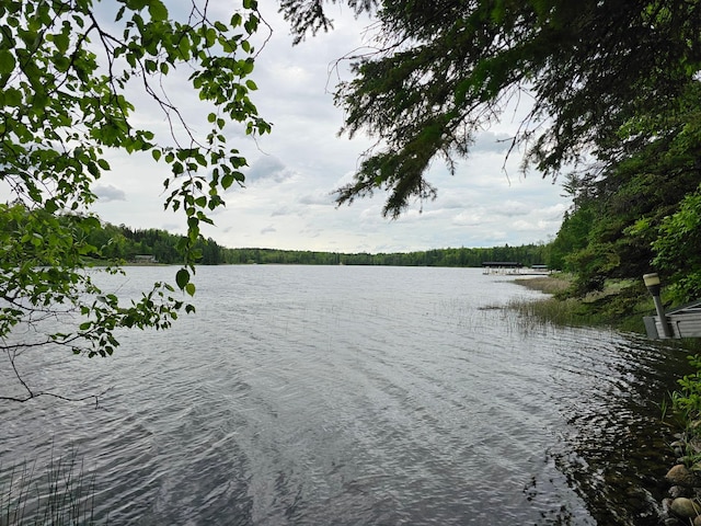 view of water feature with a view of trees