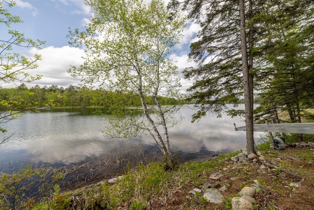 35366 Boot Lake Rd, Park Rapids, MN 56470 - photo 6