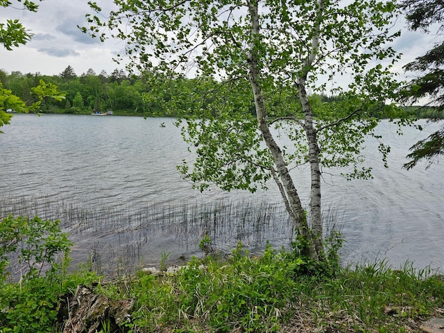 35366 Boot Lake Rd, Park Rapids, MN 56470 - photo 7