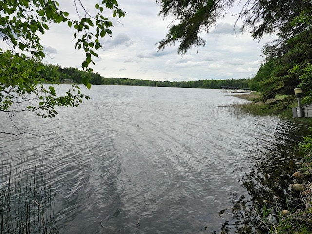 35366 Boot Lake Rd, Park Rapids, MN 56470 - photo 9