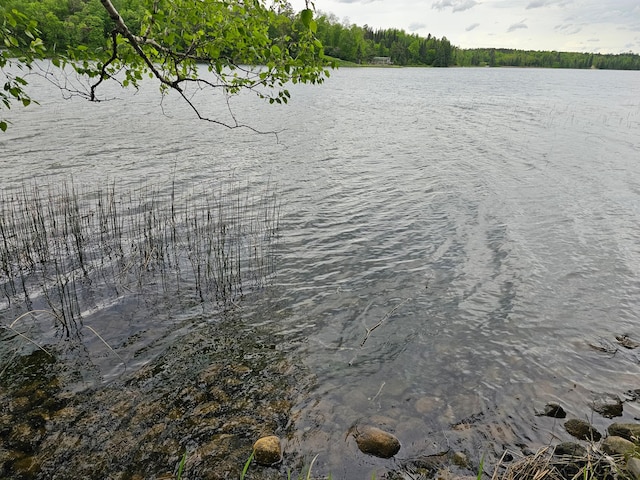 35366 Boot Lake Rd, Park Rapids, MN 56470 - photo 11