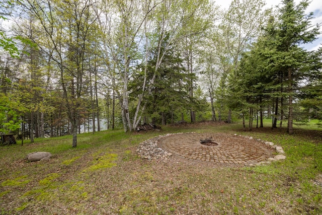 35366 Boot Lake Rd, Park Rapids, MN 56470 - photo 14
