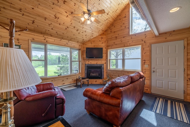 35366 Boot Lake Rd, Park Rapids, MN 56470 - photo 16