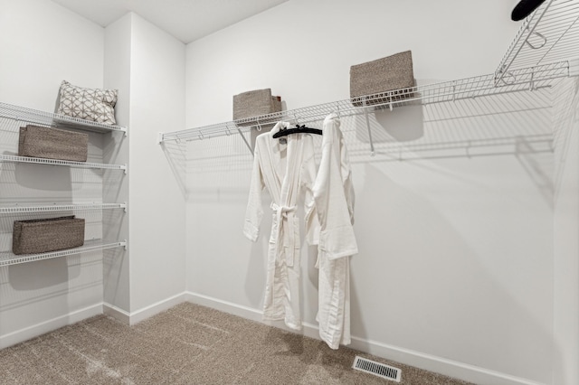 walk in closet with visible vents and carpet flooring