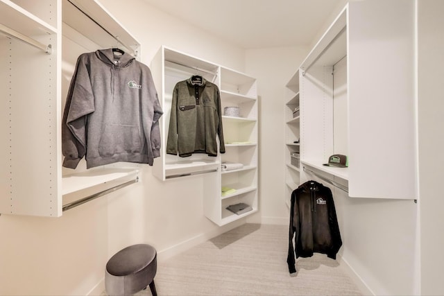702 Summer Ave SE, New Prague, MN 56071 - view of spacious closet