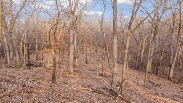 view of nature featuring a view of trees