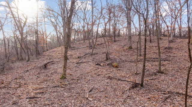 view of landscape