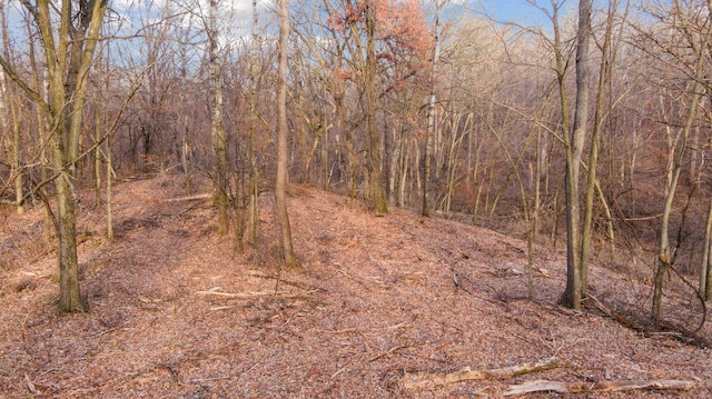 view of nature featuring a wooded view