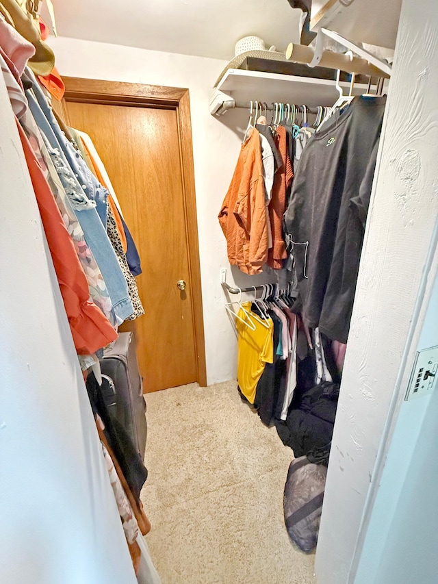 walk in closet with carpet floors