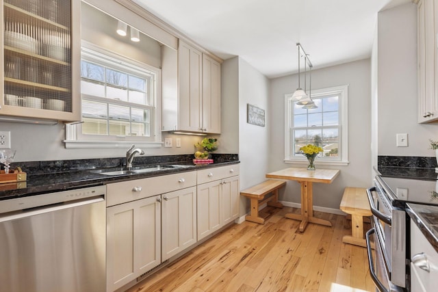 kitchen with a healthy amount of sunlight, stainless steel appliances, light wood-style flooring, and a sink