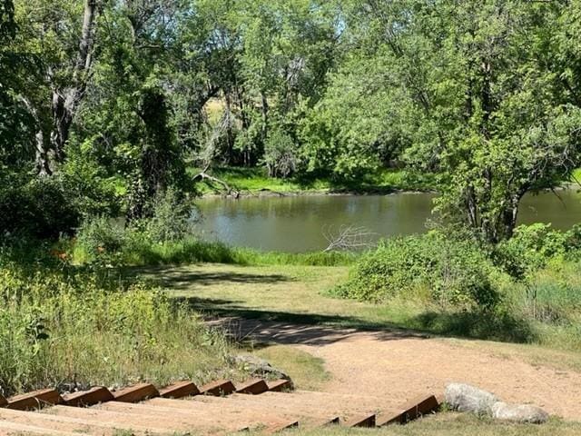 water view with a forest view