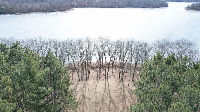 birds eye view of property with a wooded view and a water view