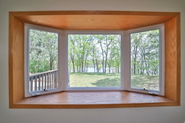 1505 Harrison Dr SW, Brainerd, MN 56401 - detailed view of a water view and view of scattered trees
