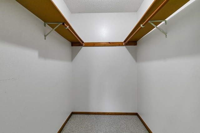 walk in closet featuring carpet floors