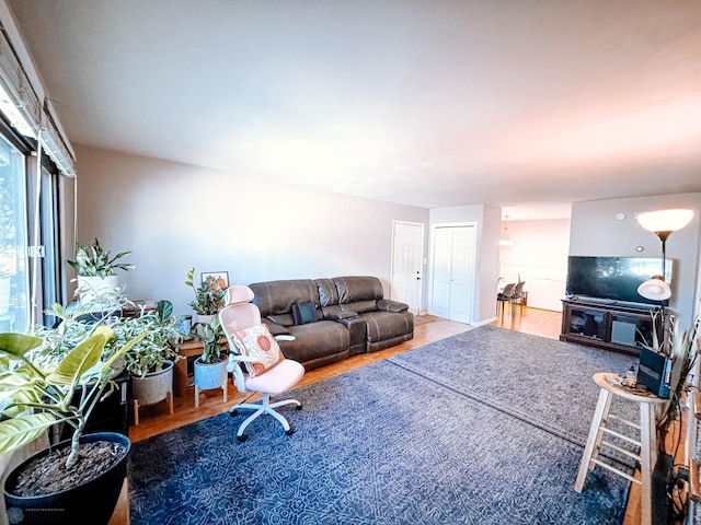 living area featuring wood finished floors