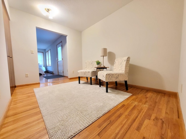 13857 Jacob Ave, Nininger Twp, MN 55033 - living area with light wood-style flooring