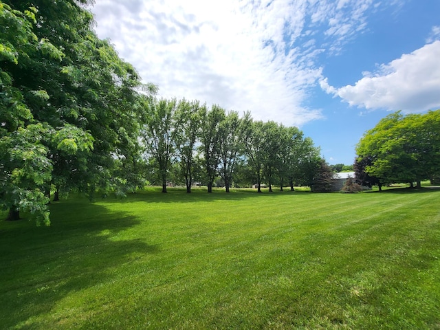 13857 Jacob Ave, Nininger Twp, MN 55033 - view of green lawn