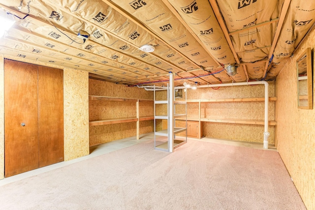 13857 Jacob Ave, Nininger Twp, MN 55033 - view of storage area