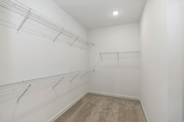 spacious closet featuring light colored carpet