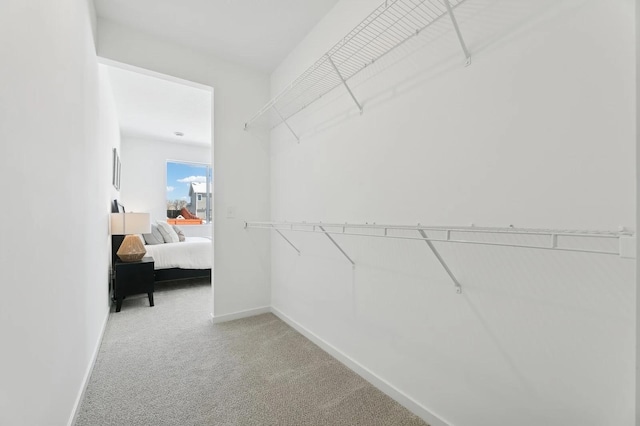 spacious closet with carpet flooring