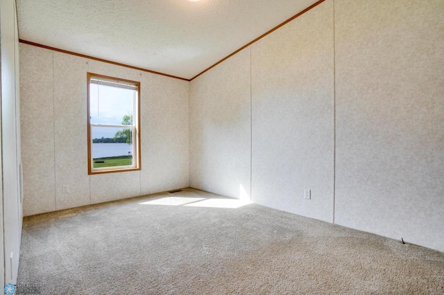 carpeted spare room featuring a textured ceiling and ornamental molding