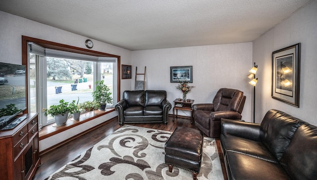 living room with a textured ceiling and wood finished floors