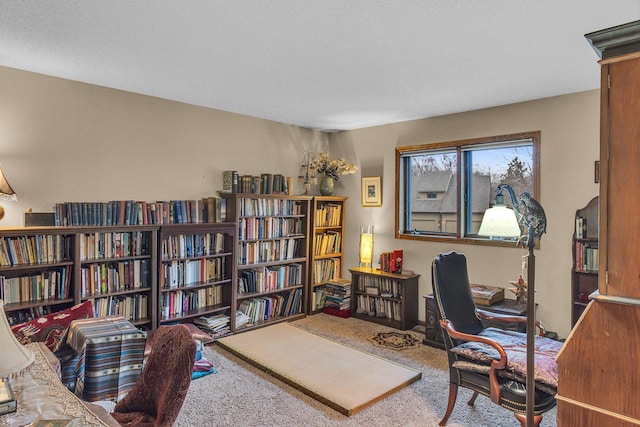 view of carpeted office