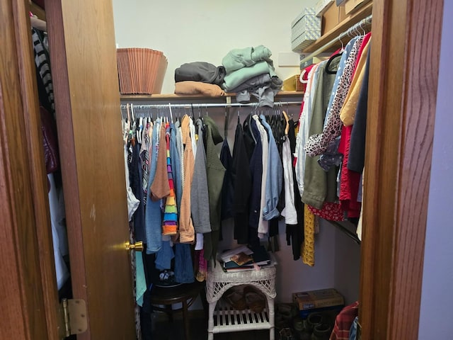 view of walk in closet