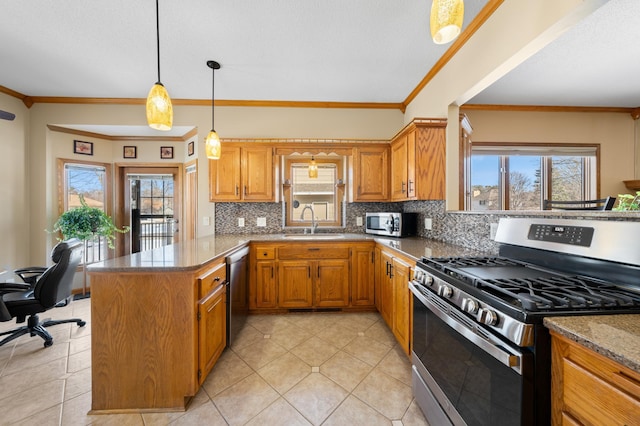 kitchen featuring a sink, stainless steel appliances, a peninsula, and a healthy amount of sunlight