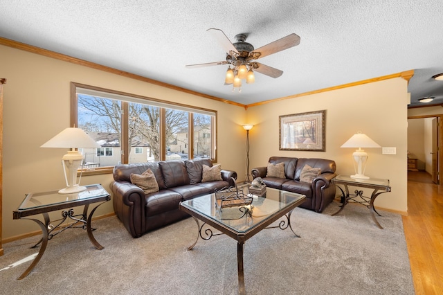 living area with a textured ceiling, wood finished floors, and ornamental molding