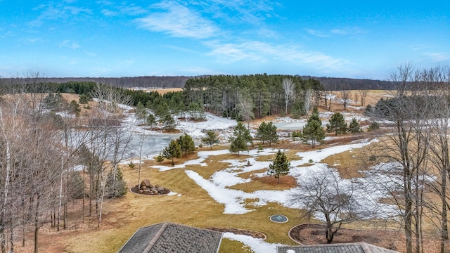 snowy aerial view featuring a view of trees