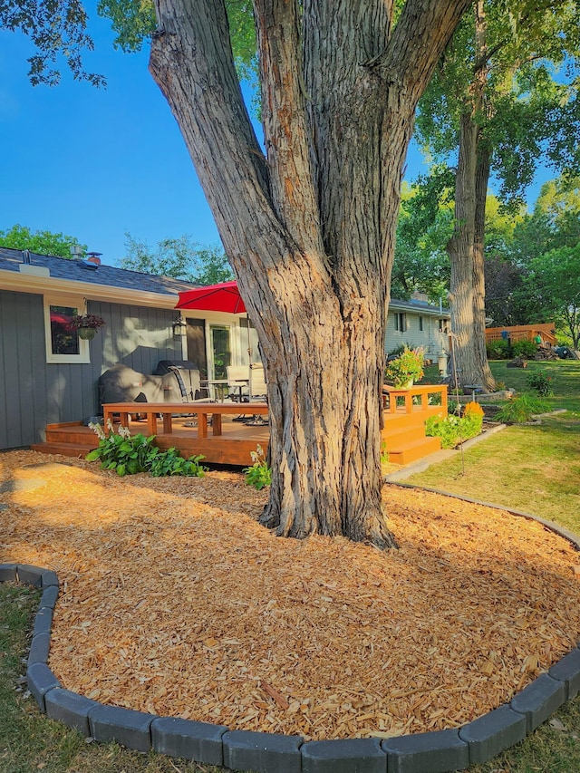 view of yard featuring a deck