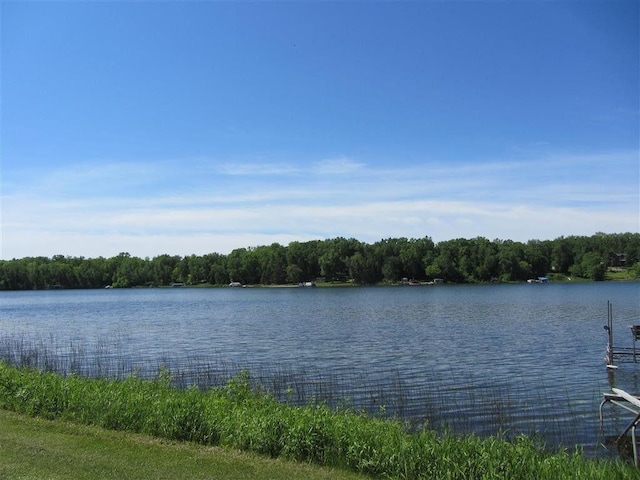 property view of water with a wooded view