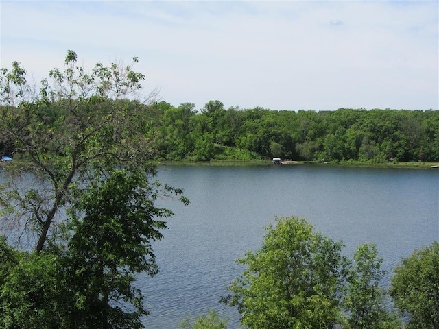 property view of water featuring a forest view