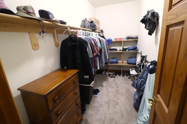 walk in closet with carpet flooring