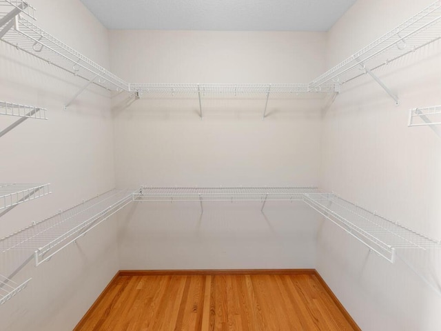 walk in closet featuring light wood-style flooring