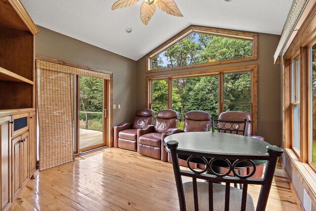 dining room featuring lofted ceiling, light wood finished floors, and a ceiling fan