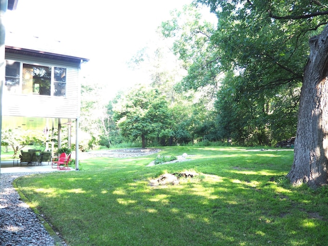 view of yard with a patio area