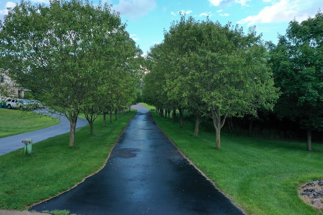 3126 137th Ave NE, Ham Lake, MN 55304 - view of property's community with a yard