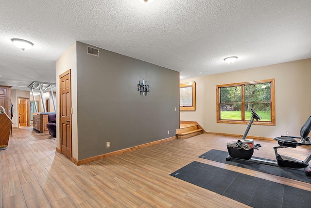 3126 137th Ave NE, Ham Lake, MN 55304 - workout area with light wood-style floors and a textured ceiling